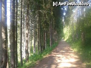 [P16] Desertificarea tarii nu e departe, iata ce pierdem prin despadurire » foto by dorgo
 - 
<span class="allrVoted glyphicon glyphicon-heart hidden" id="av454319"></span>
<a class="m-l-10 hidden" id="sv454319" onclick="voting_Foto_DelVot(,454319,5760)" role="button">șterge vot <span class="glyphicon glyphicon-remove"></span></a>
<a id="v9454319" class=" c-red"  onclick="voting_Foto_SetVot(454319)" role="button"><span class="glyphicon glyphicon-heart-empty"></span> <b>LIKE</b> = Votează poza</a> <img class="hidden"  id="f454319W9" src="/imagini/loader.gif" border="0" /><span class="AjErrMes hidden" id="e454319ErM"></span>