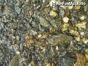 [P17] Desertificarea tarii nu e departe, iata ce pierdem prin despadurire » foto by dorgo
 - 
<span class="allrVoted glyphicon glyphicon-heart hidden" id="av454320"></span>
<a class="m-l-10 hidden" id="sv454320" onclick="voting_Foto_DelVot(,454320,5760)" role="button">șterge vot <span class="glyphicon glyphicon-remove"></span></a>
<a id="v9454320" class=" c-red"  onclick="voting_Foto_SetVot(454320)" role="button"><span class="glyphicon glyphicon-heart-empty"></span> <b>LIKE</b> = Votează poza</a> <img class="hidden"  id="f454320W9" src="/imagini/loader.gif" border="0" /><span class="AjErrMes hidden" id="e454320ErM"></span>