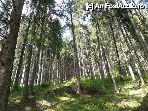 [P18] Desertificarea tarii nu e departe, iata ce pierdem prin despadurire » foto by dorgo
 - 
<span class="allrVoted glyphicon glyphicon-heart hidden" id="av454322"></span>
<a class="m-l-10 hidden" id="sv454322" onclick="voting_Foto_DelVot(,454322,5760)" role="button">șterge vot <span class="glyphicon glyphicon-remove"></span></a>
<a id="v9454322" class=" c-red"  onclick="voting_Foto_SetVot(454322)" role="button"><span class="glyphicon glyphicon-heart-empty"></span> <b>LIKE</b> = Votează poza</a> <img class="hidden"  id="f454322W9" src="/imagini/loader.gif" border="0" /><span class="AjErrMes hidden" id="e454322ErM"></span>