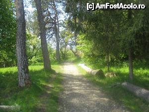 [P05] Alti copaci ce isi astepta randul la 'foc' » foto by dorgo
 - 
<span class="allrVoted glyphicon glyphicon-heart hidden" id="av454291"></span>
<a class="m-l-10 hidden" id="sv454291" onclick="voting_Foto_DelVot(,454291,5760)" role="button">șterge vot <span class="glyphicon glyphicon-remove"></span></a>
<a id="v9454291" class=" c-red"  onclick="voting_Foto_SetVot(454291)" role="button"><span class="glyphicon glyphicon-heart-empty"></span> <b>LIKE</b> = Votează poza</a> <img class="hidden"  id="f454291W9" src="/imagini/loader.gif" border="0" /><span class="AjErrMes hidden" id="e454291ErM"></span>