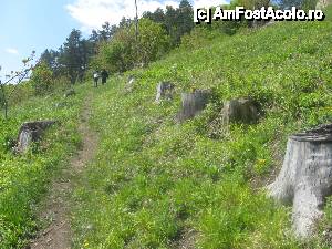 [P06] O fosta alee superba, care ducea la ruinele cetatii Saschiz si ai carei copaci au fost 'doborati' cu totii de o furtuna » foto by dorgo
 - 
<span class="allrVoted glyphicon glyphicon-heart hidden" id="av454292"></span>
<a class="m-l-10 hidden" id="sv454292" onclick="voting_Foto_DelVot(,454292,5760)" role="button">șterge vot <span class="glyphicon glyphicon-remove"></span></a>
<a id="v9454292" class=" c-red"  onclick="voting_Foto_SetVot(454292)" role="button"><span class="glyphicon glyphicon-heart-empty"></span> <b>LIKE</b> = Votează poza</a> <img class="hidden"  id="f454292W9" src="/imagini/loader.gif" border="0" /><span class="AjErrMes hidden" id="e454292ErM"></span>