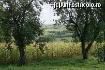 [P14] Imagini din Transilvania (zona Sibiu)  » foto by dorgo
 - 
<span class="allrVoted glyphicon glyphicon-heart hidden" id="av471022"></span>
<a class="m-l-10 hidden" id="sv471022" onclick="voting_Foto_DelVot(,471022,5760)" role="button">șterge vot <span class="glyphicon glyphicon-remove"></span></a>
<a id="v9471022" class=" c-red"  onclick="voting_Foto_SetVot(471022)" role="button"><span class="glyphicon glyphicon-heart-empty"></span> <b>LIKE</b> = Votează poza</a> <img class="hidden"  id="f471022W9" src="/imagini/loader.gif" border="0" /><span class="AjErrMes hidden" id="e471022ErM"></span>