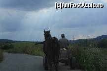 [P20] Imagini din Transilvania (zona Sibiu)  » foto by dorgo
 - 
<span class="allrVoted glyphicon glyphicon-heart hidden" id="av471028"></span>
<a class="m-l-10 hidden" id="sv471028" onclick="voting_Foto_DelVot(,471028,5760)" role="button">șterge vot <span class="glyphicon glyphicon-remove"></span></a>
<a id="v9471028" class=" c-red"  onclick="voting_Foto_SetVot(471028)" role="button"><span class="glyphicon glyphicon-heart-empty"></span> <b>LIKE</b> = Votează poza</a> <img class="hidden"  id="f471028W9" src="/imagini/loader.gif" border="0" /><span class="AjErrMes hidden" id="e471028ErM"></span>