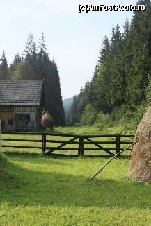 [P23] Imagini din Transilvania (zona Lapusna)  » foto by dorgo
 - 
<span class="allrVoted glyphicon glyphicon-heart hidden" id="av471031"></span>
<a class="m-l-10 hidden" id="sv471031" onclick="voting_Foto_DelVot(,471031,5760)" role="button">șterge vot <span class="glyphicon glyphicon-remove"></span></a>
<a id="v9471031" class=" c-red"  onclick="voting_Foto_SetVot(471031)" role="button"><span class="glyphicon glyphicon-heart-empty"></span> <b>LIKE</b> = Votează poza</a> <img class="hidden"  id="f471031W9" src="/imagini/loader.gif" border="0" /><span class="AjErrMes hidden" id="e471031ErM"></span>