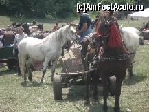[P04] Imagini din Transilvania (zona Sibiului)  » foto by dorgo
 - 
<span class="allrVoted glyphicon glyphicon-heart hidden" id="av471012"></span>
<a class="m-l-10 hidden" id="sv471012" onclick="voting_Foto_DelVot(,471012,5760)" role="button">șterge vot <span class="glyphicon glyphicon-remove"></span></a>
<a id="v9471012" class=" c-red"  onclick="voting_Foto_SetVot(471012)" role="button"><span class="glyphicon glyphicon-heart-empty"></span> <b>LIKE</b> = Votează poza</a> <img class="hidden"  id="f471012W9" src="/imagini/loader.gif" border="0" /><span class="AjErrMes hidden" id="e471012ErM"></span>