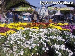 [P10] Festivalul Vinului, ceasul floral » foto by dorgo
 - 
<span class="allrVoted glyphicon glyphicon-heart hidden" id="av480108"></span>
<a class="m-l-10 hidden" id="sv480108" onclick="voting_Foto_DelVot(,480108,5760)" role="button">șterge vot <span class="glyphicon glyphicon-remove"></span></a>
<a id="v9480108" class=" c-red"  onclick="voting_Foto_SetVot(480108)" role="button"><span class="glyphicon glyphicon-heart-empty"></span> <b>LIKE</b> = Votează poza</a> <img class="hidden"  id="f480108W9" src="/imagini/loader.gif" border="0" /><span class="AjErrMes hidden" id="e480108ErM"></span>