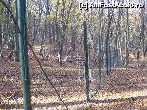 [P03] Gradina Zoologica s-a extins mult, intreupand 'promenada silvica' dintre ea si 'Palaria Neamtului'-3 Km » foto by dorgo
 - 
<span class="allrVoted glyphicon glyphicon-heart hidden" id="av480094"></span>
<a class="m-l-10 hidden" id="sv480094" onclick="voting_Foto_DelVot(,480094,5760)" role="button">șterge vot <span class="glyphicon glyphicon-remove"></span></a>
<a id="v9480094" class=" c-red"  onclick="voting_Foto_SetVot(480094)" role="button"><span class="glyphicon glyphicon-heart-empty"></span> <b>LIKE</b> = Votează poza</a> <img class="hidden"  id="f480094W9" src="/imagini/loader.gif" border="0" /><span class="AjErrMes hidden" id="e480094ErM"></span>