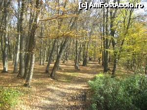 [P05] Portiunea ramasa neatinsa dar greu de abordat, din promenada silvica Zoo-Palaria Neamtului » foto by dorgo
 - 
<span class="allrVoted glyphicon glyphicon-heart hidden" id="av480100"></span>
<a class="m-l-10 hidden" id="sv480100" onclick="voting_Foto_DelVot(,480100,5760)" role="button">șterge vot <span class="glyphicon glyphicon-remove"></span></a>
<a id="v9480100" class=" c-red"  onclick="voting_Foto_SetVot(480100)" role="button"><span class="glyphicon glyphicon-heart-empty"></span> <b>LIKE</b> = Votează poza</a> <img class="hidden"  id="f480100W9" src="/imagini/loader.gif" border="0" /><span class="AjErrMes hidden" id="e480100ErM"></span>