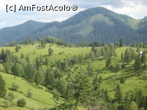 [P09] Ajungem si-n Bucovina » foto by dorgo
 - 
<span class="allrVoted glyphicon glyphicon-heart hidden" id="av1145600"></span>
<a class="m-l-10 hidden" id="sv1145600" onclick="voting_Foto_DelVot(,1145600,5760)" role="button">șterge vot <span class="glyphicon glyphicon-remove"></span></a>
<a id="v91145600" class=" c-red"  onclick="voting_Foto_SetVot(1145600)" role="button"><span class="glyphicon glyphicon-heart-empty"></span> <b>LIKE</b> = Votează poza</a> <img class="hidden"  id="f1145600W9" src="/imagini/loader.gif" border="0" /><span class="AjErrMes hidden" id="e1145600ErM"></span>