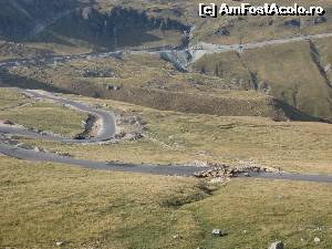 [P25] Transalpina.  » foto by tata123 🔱
 - 
<span class="allrVoted glyphicon glyphicon-heart hidden" id="av612102"></span>
<a class="m-l-10 hidden" id="sv612102" onclick="voting_Foto_DelVot(,612102,5760)" role="button">șterge vot <span class="glyphicon glyphicon-remove"></span></a>
<a id="v9612102" class=" c-red"  onclick="voting_Foto_SetVot(612102)" role="button"><span class="glyphicon glyphicon-heart-empty"></span> <b>LIKE</b> = Votează poza</a> <img class="hidden"  id="f612102W9" src="/imagini/loader.gif" border="0" /><span class="AjErrMes hidden" id="e612102ErM"></span>