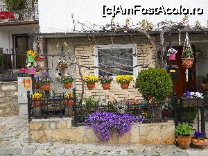 [P49] Ohrid-Lectie de amenajare peisagistica. Frumos!  » foto by Floria
 - 
<span class="allrVoted glyphicon glyphicon-heart hidden" id="av651960"></span>
<a class="m-l-10 hidden" id="sv651960" onclick="voting_Foto_DelVot(,651960,5763)" role="button">șterge vot <span class="glyphicon glyphicon-remove"></span></a>
<a id="v9651960" class=" c-red"  onclick="voting_Foto_SetVot(651960)" role="button"><span class="glyphicon glyphicon-heart-empty"></span> <b>LIKE</b> = Votează poza</a> <img class="hidden"  id="f651960W9" src="/imagini/loader.gif" border="0" /><span class="AjErrMes hidden" id="e651960ErM"></span>