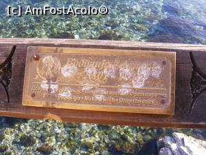 [P21] Pentru noroc » foto by pacala_pm
 - 
<span class="allrVoted glyphicon glyphicon-heart hidden" id="av934678"></span>
<a class="m-l-10 hidden" id="sv934678" onclick="voting_Foto_DelVot(,934678,5763)" role="button">șterge vot <span class="glyphicon glyphicon-remove"></span></a>
<a id="v9934678" class=" c-red"  onclick="voting_Foto_SetVot(934678)" role="button"><span class="glyphicon glyphicon-heart-empty"></span> <b>LIKE</b> = Votează poza</a> <img class="hidden"  id="f934678W9" src="/imagini/loader.gif" border="0" /><span class="AjErrMes hidden" id="e934678ErM"></span>