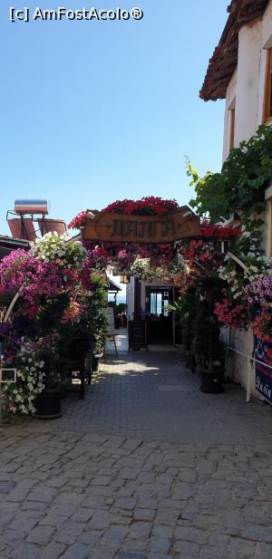 [P04] Aceasta terasa ne-a impresionat datorita sutelor de flori ce te intampina » foto by Mihnea-Alexandru
 - 
<span class="allrVoted glyphicon glyphicon-heart hidden" id="av1312232"></span>
<a class="m-l-10 hidden" id="sv1312232" onclick="voting_Foto_DelVot(,1312232,5763)" role="button">șterge vot <span class="glyphicon glyphicon-remove"></span></a>
<a id="v91312232" class=" c-red"  onclick="voting_Foto_SetVot(1312232)" role="button"><span class="glyphicon glyphicon-heart-empty"></span> <b>LIKE</b> = Votează poza</a> <img class="hidden"  id="f1312232W9" src="/imagini/loader.gif" border="0" /><span class="AjErrMes hidden" id="e1312232ErM"></span>