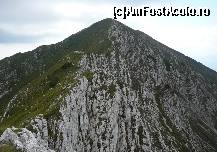 [P18] Iata si varful » foto by Claudiu U.
 - 
<span class="allrVoted glyphicon glyphicon-heart hidden" id="av121899"></span>
<a class="m-l-10 hidden" id="sv121899" onclick="voting_Foto_DelVot(,121899,5764)" role="button">șterge vot <span class="glyphicon glyphicon-remove"></span></a>
<a id="v9121899" class=" c-red"  onclick="voting_Foto_SetVot(121899)" role="button"><span class="glyphicon glyphicon-heart-empty"></span> <b>LIKE</b> = Votează poza</a> <img class="hidden"  id="f121899W9" src="/imagini/loader.gif" border="0" /><span class="AjErrMes hidden" id="e121899ErM"></span>