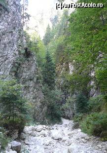 [P22] O ultima vale de coborat. » foto by Claudiu U.
 - 
<span class="allrVoted glyphicon glyphicon-heart hidden" id="av121903"></span>
<a class="m-l-10 hidden" id="sv121903" onclick="voting_Foto_DelVot(,121903,5764)" role="button">șterge vot <span class="glyphicon glyphicon-remove"></span></a>
<a id="v9121903" class=" c-red"  onclick="voting_Foto_SetVot(121903)" role="button"><span class="glyphicon glyphicon-heart-empty"></span> <b>LIKE</b> = Votează poza</a> <img class="hidden"  id="f121903W9" src="/imagini/loader.gif" border="0" /><span class="AjErrMes hidden" id="e121903ErM"></span>