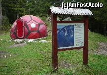 [P05] Refugiul Diana, primul refugiu intalnit in drumul nostru » foto by Claudiu U.
 - 
<span class="allrVoted glyphicon glyphicon-heart hidden" id="av121683"></span>
<a class="m-l-10 hidden" id="sv121683" onclick="voting_Foto_DelVot(,121683,5764)" role="button">șterge vot <span class="glyphicon glyphicon-remove"></span></a>
<a id="v9121683" class=" c-red"  onclick="voting_Foto_SetVot(121683)" role="button"><span class="glyphicon glyphicon-heart-empty"></span> <b>LIKE</b> = Votează poza</a> <img class="hidden"  id="f121683W9" src="/imagini/loader.gif" border="0" /><span class="AjErrMes hidden" id="e121683ErM"></span>