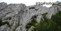 [P13] Uriasele calcare ale Craiului » foto by Claudiu U.
 - 
<span class="allrVoted glyphicon glyphicon-heart hidden" id="av280613"></span>
<a class="m-l-10 hidden" id="sv280613" onclick="voting_Foto_DelVot(,280613,5764)" role="button">șterge vot <span class="glyphicon glyphicon-remove"></span></a>
<a id="v9280613" class=" c-red"  onclick="voting_Foto_SetVot(280613)" role="button"><span class="glyphicon glyphicon-heart-empty"></span> <b>LIKE</b> = Votează poza</a> <img class="hidden"  id="f280613W9" src="/imagini/loader.gif" border="0" /><span class="AjErrMes hidden" id="e280613ErM"></span>