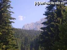 [P20] Vedere din Piatra Craiului » foto by IUBONI
 - 
<span class="allrVoted glyphicon glyphicon-heart hidden" id="av93252"></span>
<a class="m-l-10 hidden" id="sv93252" onclick="voting_Foto_DelVot(,93252,5764)" role="button">șterge vot <span class="glyphicon glyphicon-remove"></span></a>
<a id="v993252" class=" c-red"  onclick="voting_Foto_SetVot(93252)" role="button"><span class="glyphicon glyphicon-heart-empty"></span> <b>LIKE</b> = Votează poza</a> <img class="hidden"  id="f93252W9" src="/imagini/loader.gif" border="0" /><span class="AjErrMes hidden" id="e93252ErM"></span>