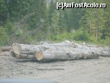 [P09] Este adevarat ca mult mai putin decat in alte locuri, dar tot se taie prea multi copaci, iar in urma... Ii mai pasa cuiva?! » foto by IUBONI
 - 
<span class="allrVoted glyphicon glyphicon-heart hidden" id="av93224"></span>
<a class="m-l-10 hidden" id="sv93224" onclick="voting_Foto_DelVot(,93224,5764)" role="button">șterge vot <span class="glyphicon glyphicon-remove"></span></a>
<a id="v993224" class=" c-red"  onclick="voting_Foto_SetVot(93224)" role="button"><span class="glyphicon glyphicon-heart-empty"></span> <b>LIKE</b> = Votează poza</a> <img class="hidden"  id="f93224W9" src="/imagini/loader.gif" border="0" /><span class="AjErrMes hidden" id="e93224ErM"></span>