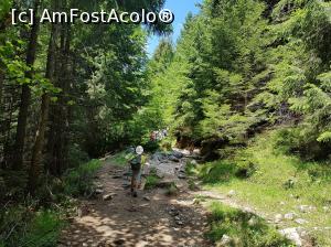 [P11] Traseul intră iarăși în pădure, către Cabana Curmătura.  » foto by Floryn81
 - 
<span class="allrVoted glyphicon glyphicon-heart hidden" id="av1078704"></span>
<a class="m-l-10 hidden" id="sv1078704" onclick="voting_Foto_DelVot(,1078704,5764)" role="button">șterge vot <span class="glyphicon glyphicon-remove"></span></a>
<a id="v91078704" class=" c-red"  onclick="voting_Foto_SetVot(1078704)" role="button"><span class="glyphicon glyphicon-heart-empty"></span> <b>LIKE</b> = Votează poza</a> <img class="hidden"  id="f1078704W9" src="/imagini/loader.gif" border="0" /><span class="AjErrMes hidden" id="e1078704ErM"></span>