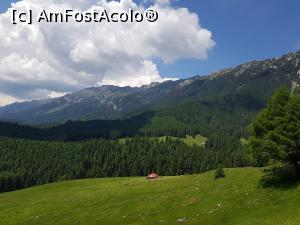 [P13] În stânga noastră apare o altă poiană cu o deschidere superbă către creasta Pietrei Craiului.  » foto by Floryn81
 - 
<span class="allrVoted glyphicon glyphicon-heart hidden" id="av1078706"></span>
<a class="m-l-10 hidden" id="sv1078706" onclick="voting_Foto_DelVot(,1078706,5764)" role="button">șterge vot <span class="glyphicon glyphicon-remove"></span></a>
<a id="v91078706" class=" c-red"  onclick="voting_Foto_SetVot(1078706)" role="button"><span class="glyphicon glyphicon-heart-empty"></span> <b>LIKE</b> = Votează poza</a> <img class="hidden"  id="f1078706W9" src="/imagini/loader.gif" border="0" /><span class="AjErrMes hidden" id="e1078706ErM"></span>