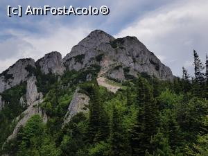 [P19] În partea dreaptă se vede povârnișul Pietrei Mici. Se poate urca pe vârf (1816 metri altitudine) urmând traseul marcat cu punct albastru.  » foto by Floryn81
 - 
<span class="allrVoted glyphicon glyphicon-heart hidden" id="av1078712"></span>
<a class="m-l-10 hidden" id="sv1078712" onclick="voting_Foto_DelVot(,1078712,5764)" role="button">șterge vot <span class="glyphicon glyphicon-remove"></span></a>
<a id="v91078712" class=" c-red"  onclick="voting_Foto_SetVot(1078712)" role="button"><span class="glyphicon glyphicon-heart-empty"></span> <b>LIKE</b> = Votează poza</a> <img class="hidden"  id="f1078712W9" src="/imagini/loader.gif" border="0" /><span class="AjErrMes hidden" id="e1078712ErM"></span>