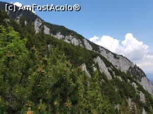 [P20] În stânga noastră se aflau stâncăriile printre care se poate urca pe Vârful Turnu (1914 metri), pe creasta principală a masivului.  » foto by Floryn81
 - 
<span class="allrVoted glyphicon glyphicon-heart hidden" id="av1078713"></span>
<a class="m-l-10 hidden" id="sv1078713" onclick="voting_Foto_DelVot(,1078713,5764)" role="button">șterge vot <span class="glyphicon glyphicon-remove"></span></a>
<a id="v91078713" class=" c-red"  onclick="voting_Foto_SetVot(1078713)" role="button"><span class="glyphicon glyphicon-heart-empty"></span> <b>LIKE</b> = Votează poza</a> <img class="hidden"  id="f1078713W9" src="/imagini/loader.gif" border="0" /><span class="AjErrMes hidden" id="e1078713ErM"></span>