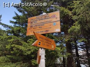 [P23] Intersecție de trasee turistice în Șaua Crăpăturii.  » foto by Floryn81
 - 
<span class="allrVoted glyphicon glyphicon-heart hidden" id="av1078716"></span>
<a class="m-l-10 hidden" id="sv1078716" onclick="voting_Foto_DelVot(,1078716,5764)" role="button">șterge vot <span class="glyphicon glyphicon-remove"></span></a>
<a id="v91078716" class=" c-red"  onclick="voting_Foto_SetVot(1078716)" role="button"><span class="glyphicon glyphicon-heart-empty"></span> <b>LIKE</b> = Votează poza</a> <img class="hidden"  id="f1078716W9" src="/imagini/loader.gif" border="0" /><span class="AjErrMes hidden" id="e1078716ErM"></span>