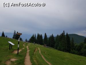 [P43] La vale, prin Poiana Zănoaga. Indicatorul arată direcția către Vârful Pietrei Mici.  » foto by Floryn81
 - 
<span class="allrVoted glyphicon glyphicon-heart hidden" id="av1078736"></span>
<a class="m-l-10 hidden" id="sv1078736" onclick="voting_Foto_DelVot(,1078736,5764)" role="button">șterge vot <span class="glyphicon glyphicon-remove"></span></a>
<a id="v91078736" class=" c-red"  onclick="voting_Foto_SetVot(1078736)" role="button"><span class="glyphicon glyphicon-heart-empty"></span> <b>LIKE</b> = Votează poza</a> <img class="hidden"  id="f1078736W9" src="/imagini/loader.gif" border="0" /><span class="AjErrMes hidden" id="e1078736ErM"></span>