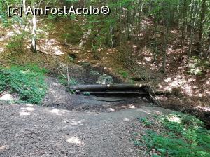 [P05] După aproximativ o oră de la începutul traseului, am ajuns la o sursă de apă - este vorba despre un izvor aflat în dreapta potecii, amenajat ”în amintirea Anei-Maria Radu (1987 - 2012)”. Până în Poiana Zănoaga mai aveam de urcat cam 20 de minute. » foto by Floryn81
 - 
<span class="allrVoted glyphicon glyphicon-heart hidden" id="av1078698"></span>
<a class="m-l-10 hidden" id="sv1078698" onclick="voting_Foto_DelVot(,1078698,5764)" role="button">șterge vot <span class="glyphicon glyphicon-remove"></span></a>
<a id="v91078698" class=" c-red"  onclick="voting_Foto_SetVot(1078698)" role="button"><span class="glyphicon glyphicon-heart-empty"></span> <b>LIKE</b> = Votează poza</a> <img class="hidden"  id="f1078698W9" src="/imagini/loader.gif" border="0" /><span class="AjErrMes hidden" id="e1078698ErM"></span>