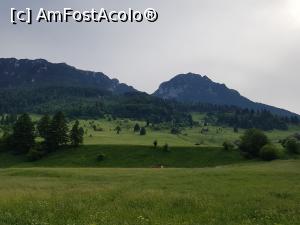 [P54] Seara am ieșim din nou la plimbare în zona Plaiul Foii.  » foto by Floryn81
 - 
<span class="allrVoted glyphicon glyphicon-heart hidden" id="av1078747"></span>
<a class="m-l-10 hidden" id="sv1078747" onclick="voting_Foto_DelVot(,1078747,5764)" role="button">șterge vot <span class="glyphicon glyphicon-remove"></span></a>
<a id="v91078747" class=" c-red"  onclick="voting_Foto_SetVot(1078747)" role="button"><span class="glyphicon glyphicon-heart-empty"></span> <b>LIKE</b> = Votează poza</a> <img class="hidden"  id="f1078747W9" src="/imagini/loader.gif" border="0" /><span class="AjErrMes hidden" id="e1078747ErM"></span>