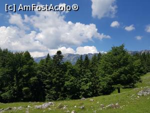 [P07] Peste vârfurile brazilor se ivește creasta calcaroasă a Masivului Piatra Craiului.  » foto by Floryn81
 - 
<span class="allrVoted glyphicon glyphicon-heart hidden" id="av1078700"></span>
<a class="m-l-10 hidden" id="sv1078700" onclick="voting_Foto_DelVot(,1078700,5764)" role="button">șterge vot <span class="glyphicon glyphicon-remove"></span></a>
<a id="v91078700" class=" c-red"  onclick="voting_Foto_SetVot(1078700)" role="button"><span class="glyphicon glyphicon-heart-empty"></span> <b>LIKE</b> = Votează poza</a> <img class="hidden"  id="f1078700W9" src="/imagini/loader.gif" border="0" /><span class="AjErrMes hidden" id="e1078700ErM"></span>