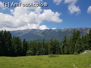 [P08] Masivul Piatra Craiului - creasta principală văzută din Poiana Zănoaga (poiana se află la aproximativ 1300 de metri altitudine). » foto by Floryn81
 - 
<span class="allrVoted glyphicon glyphicon-heart hidden" id="av1078701"></span>
<a class="m-l-10 hidden" id="sv1078701" onclick="voting_Foto_DelVot(,1078701,5764)" role="button">șterge vot <span class="glyphicon glyphicon-remove"></span></a>
<a id="v91078701" class=" c-red"  onclick="voting_Foto_SetVot(1078701)" role="button"><span class="glyphicon glyphicon-heart-empty"></span> <b>LIKE</b> = Votează poza</a> <img class="hidden"  id="f1078701W9" src="/imagini/loader.gif" border="0" /><span class="AjErrMes hidden" id="e1078701ErM"></span>