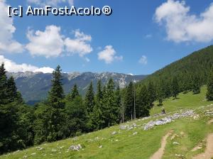 [P09] Am continuat să urcăm domol prin Poiana Zănoaga. Soarele strălucea cu putere, iar norii se adunau încetul cu încetul. » foto by Floryn81
 - 
<span class="allrVoted glyphicon glyphicon-heart hidden" id="av1078702"></span>
<a class="m-l-10 hidden" id="sv1078702" onclick="voting_Foto_DelVot(,1078702,5764)" role="button">șterge vot <span class="glyphicon glyphicon-remove"></span></a>
<a id="v91078702" class=" c-red"  onclick="voting_Foto_SetVot(1078702)" role="button"><span class="glyphicon glyphicon-heart-empty"></span> <b>LIKE</b> = Votează poza</a> <img class="hidden"  id="f1078702W9" src="/imagini/loader.gif" border="0" /><span class="AjErrMes hidden" id="e1078702ErM"></span>