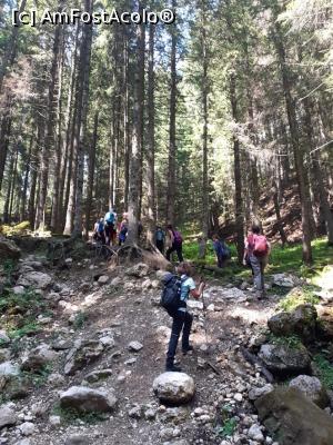 [P12] un pic dificil » foto by robert
 - 
<span class="allrVoted glyphicon glyphicon-heart hidden" id="av1183109"></span>
<a class="m-l-10 hidden" id="sv1183109" onclick="voting_Foto_DelVot(,1183109,5764)" role="button">șterge vot <span class="glyphicon glyphicon-remove"></span></a>
<a id="v91183109" class=" c-red"  onclick="voting_Foto_SetVot(1183109)" role="button"><span class="glyphicon glyphicon-heart-empty"></span> <b>LIKE</b> = Votează poza</a> <img class="hidden"  id="f1183109W9" src="/imagini/loader.gif" border="0" /><span class="AjErrMes hidden" id="e1183109ErM"></span>