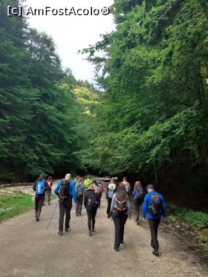 [P13] cu c&acirc;ntec &icirc;nainte marș » foto by robert
 - 
<span class="allrVoted glyphicon glyphicon-heart hidden" id="av1183110"></span>
<a class="m-l-10 hidden" id="sv1183110" onclick="voting_Foto_DelVot(,1183110,5764)" role="button">șterge vot <span class="glyphicon glyphicon-remove"></span></a>
<a id="v91183110" class=" c-red"  onclick="voting_Foto_SetVot(1183110)" role="button"><span class="glyphicon glyphicon-heart-empty"></span> <b>LIKE</b> = Votează poza</a> <img class="hidden"  id="f1183110W9" src="/imagini/loader.gif" border="0" /><span class="AjErrMes hidden" id="e1183110ErM"></span>