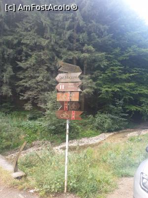 [P14] indicatore peste indicatoare » foto by robert
 - 
<span class="allrVoted glyphicon glyphicon-heart hidden" id="av1183111"></span>
<a class="m-l-10 hidden" id="sv1183111" onclick="voting_Foto_DelVot(,1183111,5764)" role="button">șterge vot <span class="glyphicon glyphicon-remove"></span></a>
<a id="v91183111" class=" c-red"  onclick="voting_Foto_SetVot(1183111)" role="button"><span class="glyphicon glyphicon-heart-empty"></span> <b>LIKE</b> = Votează poza</a> <img class="hidden"  id="f1183111W9" src="/imagini/loader.gif" border="0" /><span class="AjErrMes hidden" id="e1183111ErM"></span>