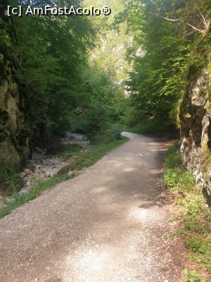 [P16] prin Prăpăstiile Zărneștiului » foto by robert
 - 
<span class="allrVoted glyphicon glyphicon-heart hidden" id="av1183113"></span>
<a class="m-l-10 hidden" id="sv1183113" onclick="voting_Foto_DelVot(,1183113,5764)" role="button">șterge vot <span class="glyphicon glyphicon-remove"></span></a>
<a id="v91183113" class=" c-red"  onclick="voting_Foto_SetVot(1183113)" role="button"><span class="glyphicon glyphicon-heart-empty"></span> <b>LIKE</b> = Votează poza</a> <img class="hidden"  id="f1183113W9" src="/imagini/loader.gif" border="0" /><span class="AjErrMes hidden" id="e1183113ErM"></span>