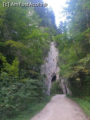 [P17] prin Prăpăstiile Zărneștiului » foto by robert
 - 
<span class="allrVoted glyphicon glyphicon-heart hidden" id="av1183114"></span>
<a class="m-l-10 hidden" id="sv1183114" onclick="voting_Foto_DelVot(,1183114,5764)" role="button">șterge vot <span class="glyphicon glyphicon-remove"></span></a>
<a id="v91183114" class=" c-red"  onclick="voting_Foto_SetVot(1183114)" role="button"><span class="glyphicon glyphicon-heart-empty"></span> <b>LIKE</b> = Votează poza</a> <img class="hidden"  id="f1183114W9" src="/imagini/loader.gif" border="0" /><span class="AjErrMes hidden" id="e1183114ErM"></span>