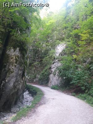 [P18] prin Prăpăstiile Zărneștiului » foto by robert
 - 
<span class="allrVoted glyphicon glyphicon-heart hidden" id="av1183115"></span>
<a class="m-l-10 hidden" id="sv1183115" onclick="voting_Foto_DelVot(,1183115,5764)" role="button">șterge vot <span class="glyphicon glyphicon-remove"></span></a>
<a id="v91183115" class=" c-red"  onclick="voting_Foto_SetVot(1183115)" role="button"><span class="glyphicon glyphicon-heart-empty"></span> <b>LIKE</b> = Votează poza</a> <img class="hidden"  id="f1183115W9" src="/imagini/loader.gif" border="0" /><span class="AjErrMes hidden" id="e1183115ErM"></span>