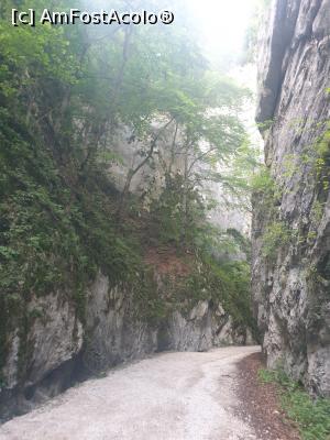 [P20] prin Prăpăstiile Zărneștiului » foto by robert
 - 
<span class="allrVoted glyphicon glyphicon-heart hidden" id="av1183117"></span>
<a class="m-l-10 hidden" id="sv1183117" onclick="voting_Foto_DelVot(,1183117,5764)" role="button">șterge vot <span class="glyphicon glyphicon-remove"></span></a>
<a id="v91183117" class=" c-red"  onclick="voting_Foto_SetVot(1183117)" role="button"><span class="glyphicon glyphicon-heart-empty"></span> <b>LIKE</b> = Votează poza</a> <img class="hidden"  id="f1183117W9" src="/imagini/loader.gif" border="0" /><span class="AjErrMes hidden" id="e1183117ErM"></span>