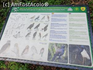 [P24] păsări rezidente &icirc;n zonă » foto by robert
 - 
<span class="allrVoted glyphicon glyphicon-heart hidden" id="av1183121"></span>
<a class="m-l-10 hidden" id="sv1183121" onclick="voting_Foto_DelVot(,1183121,5764)" role="button">șterge vot <span class="glyphicon glyphicon-remove"></span></a>
<a id="v91183121" class=" c-red"  onclick="voting_Foto_SetVot(1183121)" role="button"><span class="glyphicon glyphicon-heart-empty"></span> <b>LIKE</b> = Votează poza</a> <img class="hidden"  id="f1183121W9" src="/imagini/loader.gif" border="0" /><span class="AjErrMes hidden" id="e1183121ErM"></span>