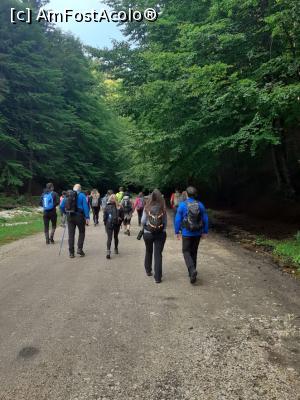 [P03] gașca veselă » foto by robert
 - 
<span class="allrVoted glyphicon glyphicon-heart hidden" id="av1183100"></span>
<a class="m-l-10 hidden" id="sv1183100" onclick="voting_Foto_DelVot(,1183100,5764)" role="button">șterge vot <span class="glyphicon glyphicon-remove"></span></a>
<a id="v91183100" class=" c-red"  onclick="voting_Foto_SetVot(1183100)" role="button"><span class="glyphicon glyphicon-heart-empty"></span> <b>LIKE</b> = Votează poza</a> <img class="hidden"  id="f1183100W9" src="/imagini/loader.gif" border="0" /><span class="AjErrMes hidden" id="e1183100ErM"></span>