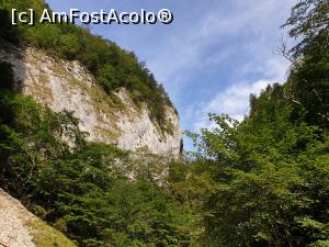 [P32] Cheile Pisicii » foto by robert
 - 
<span class="allrVoted glyphicon glyphicon-heart hidden" id="av1183129"></span>
<a class="m-l-10 hidden" id="sv1183129" onclick="voting_Foto_DelVot(,1183129,5764)" role="button">șterge vot <span class="glyphicon glyphicon-remove"></span></a>
<a id="v91183129" class=" c-red"  onclick="voting_Foto_SetVot(1183129)" role="button"><span class="glyphicon glyphicon-heart-empty"></span> <b>LIKE</b> = Votează poza</a> <img class="hidden"  id="f1183129W9" src="/imagini/loader.gif" border="0" /><span class="AjErrMes hidden" id="e1183129ErM"></span>