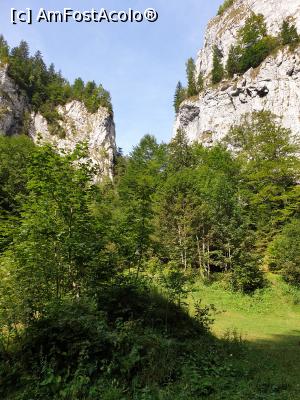 [P33] Cheile Pisicii » foto by robert
 - 
<span class="allrVoted glyphicon glyphicon-heart hidden" id="av1183130"></span>
<a class="m-l-10 hidden" id="sv1183130" onclick="voting_Foto_DelVot(,1183130,5764)" role="button">șterge vot <span class="glyphicon glyphicon-remove"></span></a>
<a id="v91183130" class=" c-red"  onclick="voting_Foto_SetVot(1183130)" role="button"><span class="glyphicon glyphicon-heart-empty"></span> <b>LIKE</b> = Votează poza</a> <img class="hidden"  id="f1183130W9" src="/imagini/loader.gif" border="0" /><span class="AjErrMes hidden" id="e1183130ErM"></span>