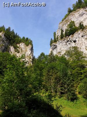 [P34] Cheile Pisicii » foto by robert
 - 
<span class="allrVoted glyphicon glyphicon-heart hidden" id="av1183131"></span>
<a class="m-l-10 hidden" id="sv1183131" onclick="voting_Foto_DelVot(,1183131,5764)" role="button">șterge vot <span class="glyphicon glyphicon-remove"></span></a>
<a id="v91183131" class=" c-red"  onclick="voting_Foto_SetVot(1183131)" role="button"><span class="glyphicon glyphicon-heart-empty"></span> <b>LIKE</b> = Votează poza</a> <img class="hidden"  id="f1183131W9" src="/imagini/loader.gif" border="0" /><span class="AjErrMes hidden" id="e1183131ErM"></span>