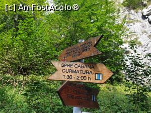 [P35] pe unde-o luăm » foto by robert
 - 
<span class="allrVoted glyphicon glyphicon-heart hidden" id="av1183132"></span>
<a class="m-l-10 hidden" id="sv1183132" onclick="voting_Foto_DelVot(,1183132,5764)" role="button">șterge vot <span class="glyphicon glyphicon-remove"></span></a>
<a id="v91183132" class=" c-red"  onclick="voting_Foto_SetVot(1183132)" role="button"><span class="glyphicon glyphicon-heart-empty"></span> <b>LIKE</b> = Votează poza</a> <img class="hidden"  id="f1183132W9" src="/imagini/loader.gif" border="0" /><span class="AjErrMes hidden" id="e1183132ErM"></span>