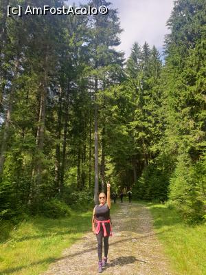 [P42] fericirea are chipul tău » foto by robert
 - 
<span class="allrVoted glyphicon glyphicon-heart hidden" id="av1183139"></span>
<a class="m-l-10 hidden" id="sv1183139" onclick="voting_Foto_DelVot(,1183139,5764)" role="button">șterge vot <span class="glyphicon glyphicon-remove"></span></a>
<a id="v91183139" class=" c-red"  onclick="voting_Foto_SetVot(1183139)" role="button"><span class="glyphicon glyphicon-heart-empty"></span> <b>LIKE</b> = Votează poza</a> <img class="hidden"  id="f1183139W9" src="/imagini/loader.gif" border="0" /><span class="AjErrMes hidden" id="e1183139ErM"></span>