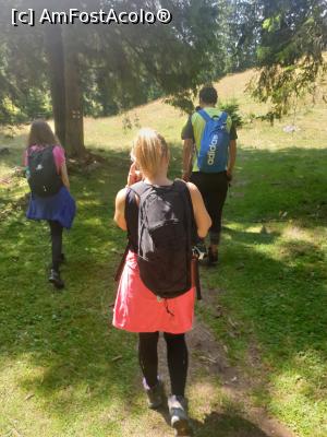 [P45] pe cărări de munte » foto by robert
 - 
<span class="allrVoted glyphicon glyphicon-heart hidden" id="av1183142"></span>
<a class="m-l-10 hidden" id="sv1183142" onclick="voting_Foto_DelVot(,1183142,5764)" role="button">șterge vot <span class="glyphicon glyphicon-remove"></span></a>
<a id="v91183142" class=" c-red"  onclick="voting_Foto_SetVot(1183142)" role="button"><span class="glyphicon glyphicon-heart-empty"></span> <b>LIKE</b> = Votează poza</a> <img class="hidden"  id="f1183142W9" src="/imagini/loader.gif" border="0" /><span class="AjErrMes hidden" id="e1183142ErM"></span>