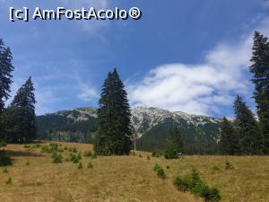 [P49] Creasta Piatra Craiului » foto by robert
 - 
<span class="allrVoted glyphicon glyphicon-heart hidden" id="av1183146"></span>
<a class="m-l-10 hidden" id="sv1183146" onclick="voting_Foto_DelVot(,1183146,5764)" role="button">șterge vot <span class="glyphicon glyphicon-remove"></span></a>
<a id="v91183146" class=" c-red"  onclick="voting_Foto_SetVot(1183146)" role="button"><span class="glyphicon glyphicon-heart-empty"></span> <b>LIKE</b> = Votează poza</a> <img class="hidden"  id="f1183146W9" src="/imagini/loader.gif" border="0" /><span class="AjErrMes hidden" id="e1183146ErM"></span>